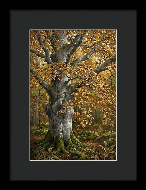 Beech Tree In Autumn Splendor