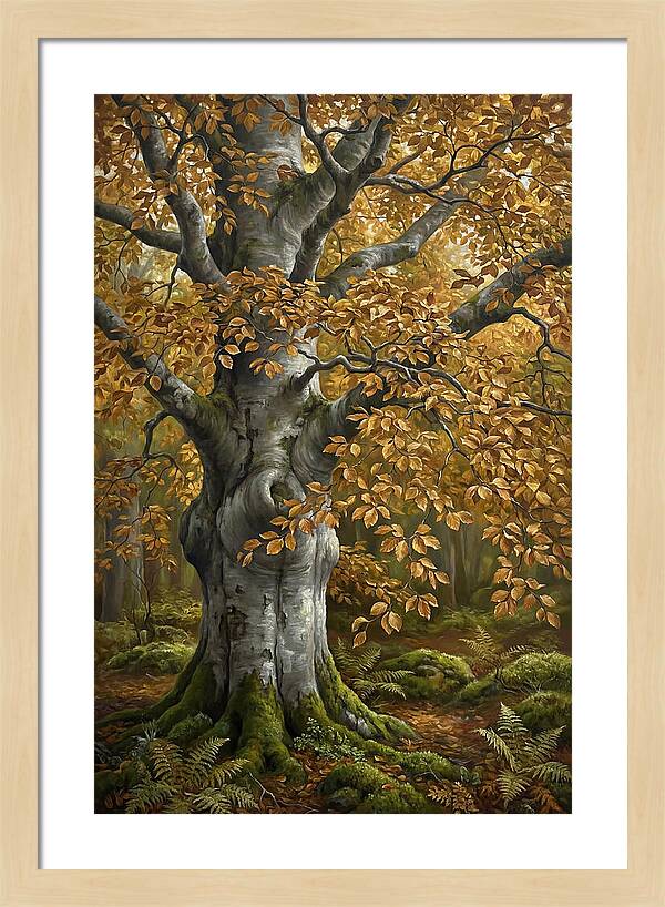 Beech Tree In Autumn Splendor