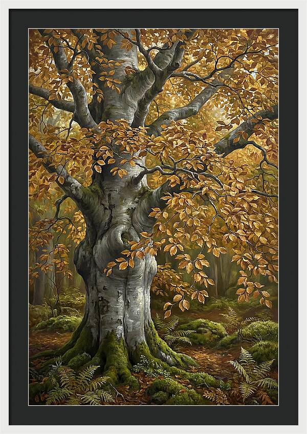 Beech Tree In Autumn Splendor