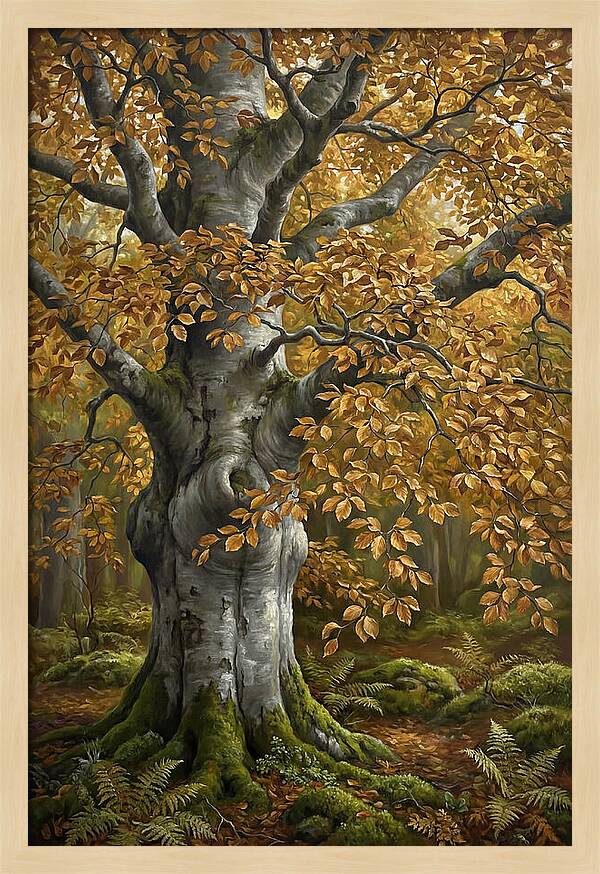Beech Tree In Autumn Splendor