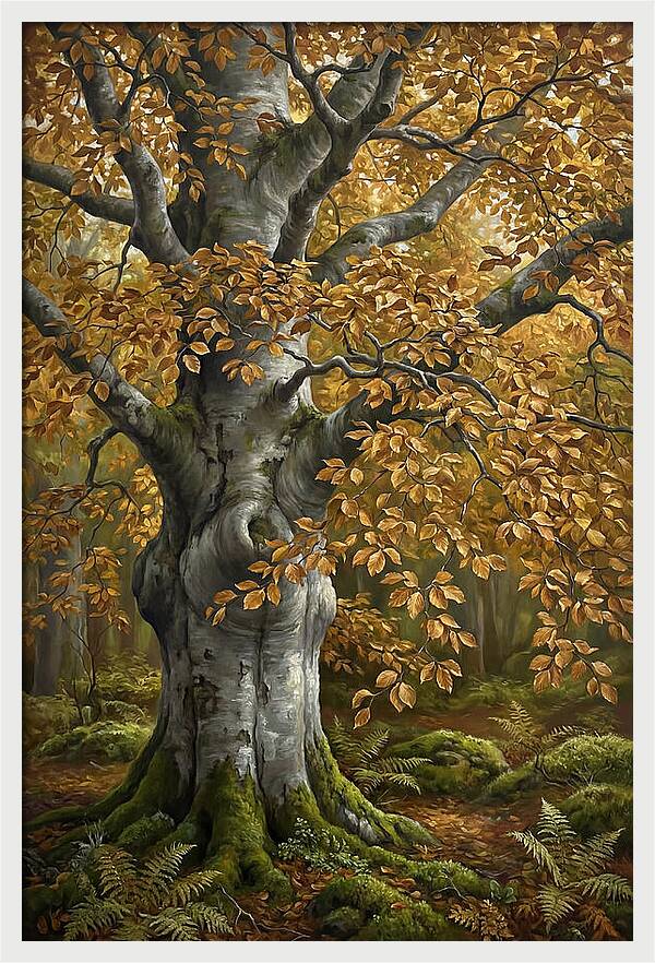 Beech Tree In Autumn Splendor