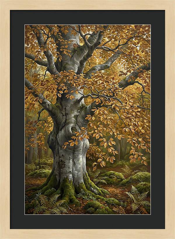 Beech Tree In Autumn Splendor