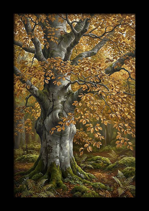 Beech Tree In Autumn Splendor