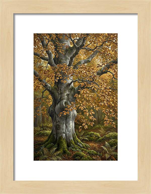 Beech Tree In Autumn Splendor