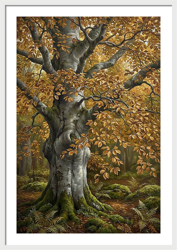 Beech Tree In Autumn Splendor