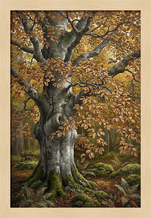 Beech Tree In Autumn Splendor