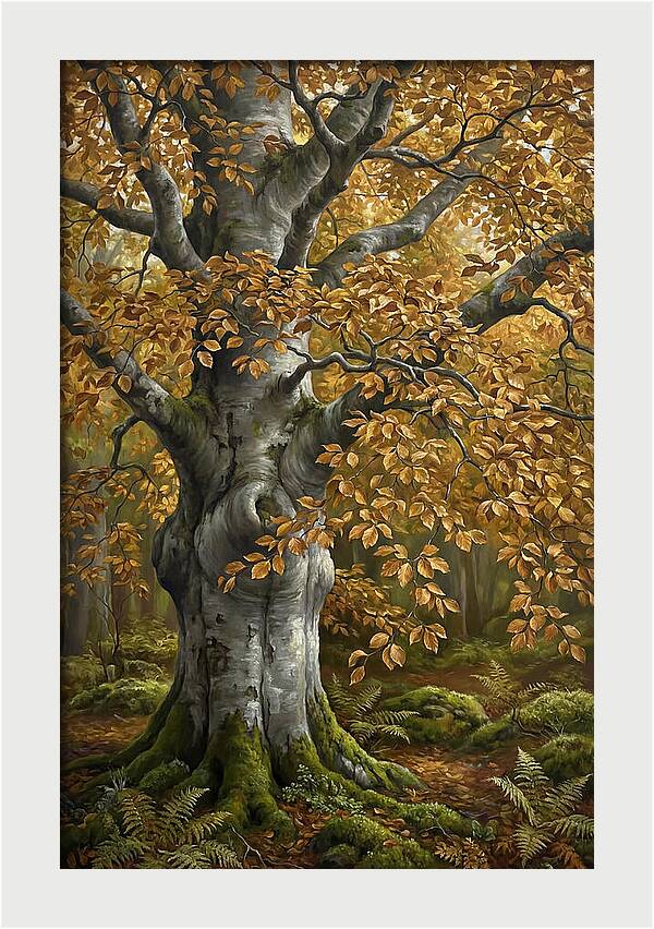 Beech Tree In Autumn Splendor