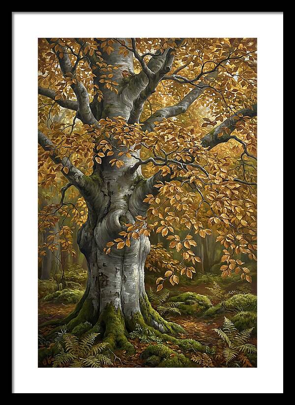 Beech Tree In Autumn Splendor