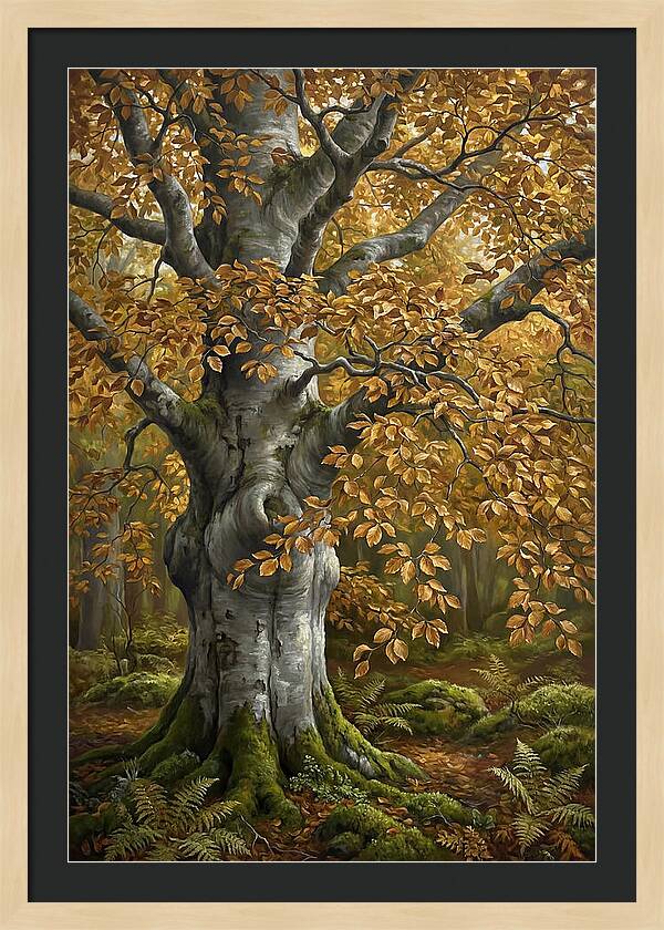 Beech Tree In Autumn Splendor