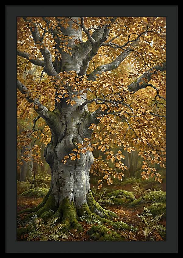 Beech Tree In Autumn Splendor