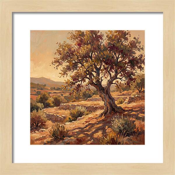 Beech Tree In Mediterranean Landscape