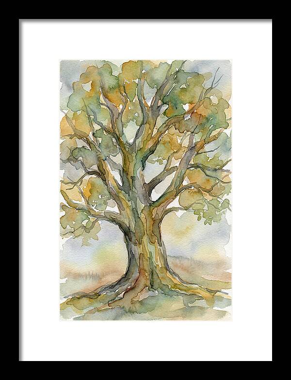 Beech Tree In Watercolor
