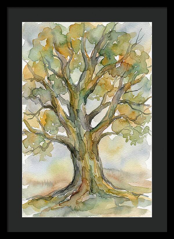 Beech Tree In Watercolor
