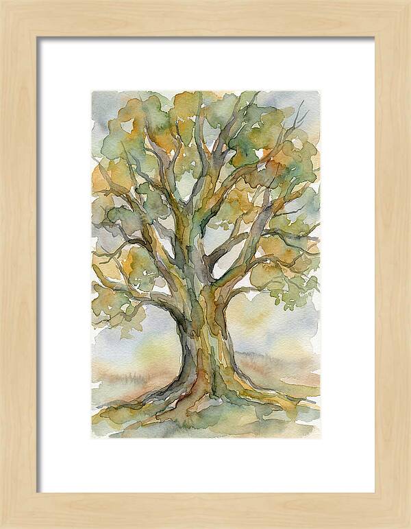 Beech Tree In Watercolor