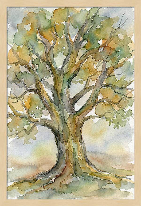 Beech Tree In Watercolor