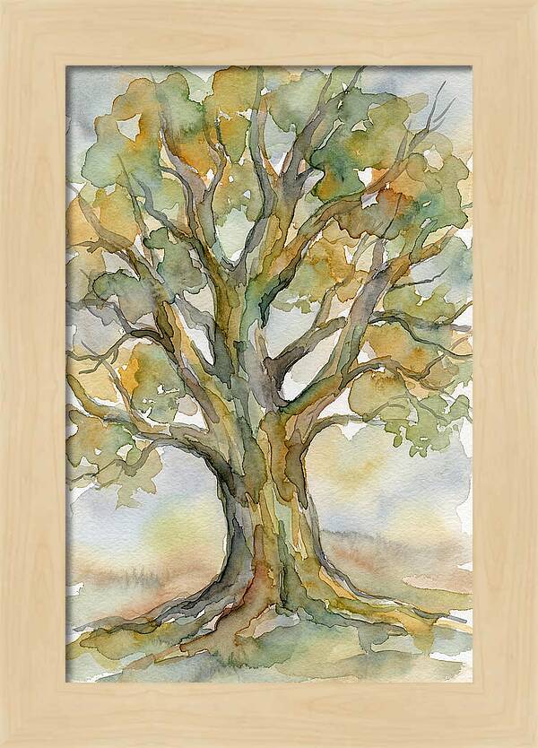 Beech Tree In Watercolor