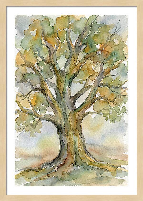 Beech Tree In Watercolor