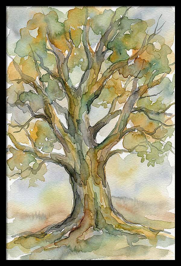 Beech Tree In Watercolor