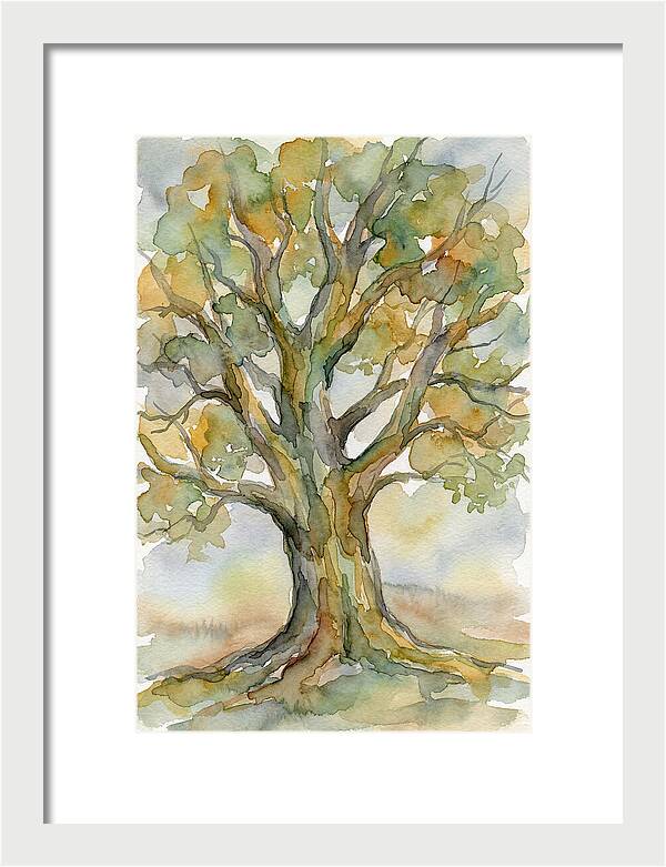 Beech Tree In Watercolor
