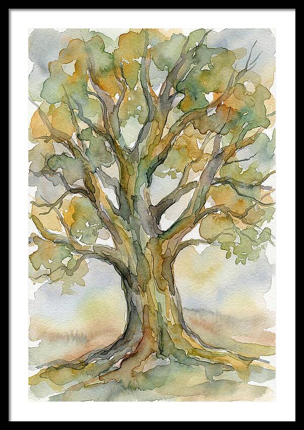 Beech Tree In Watercolor