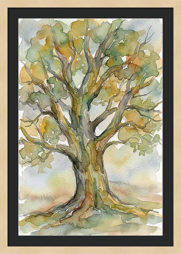 Beech Tree In Watercolor