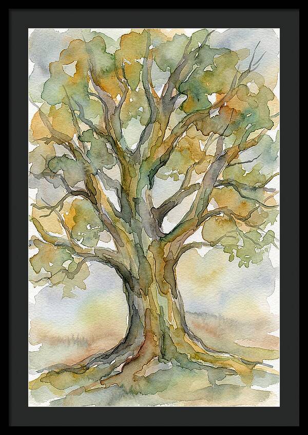 Beech Tree In Watercolor