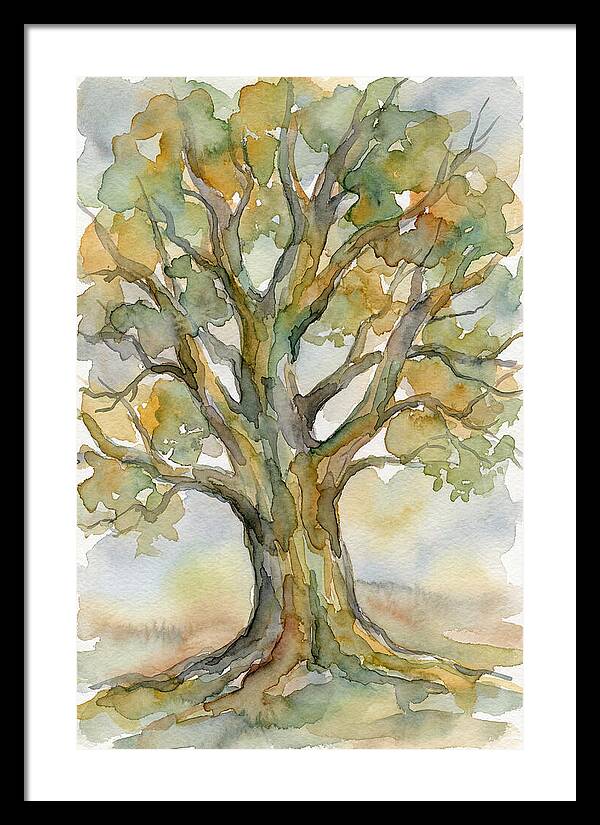 Beech Tree In Watercolor
