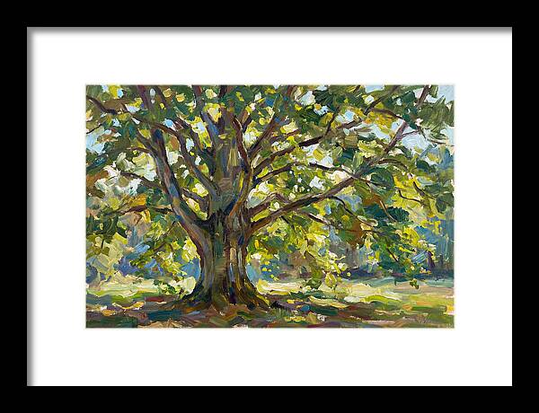 Beech Tree Serenity