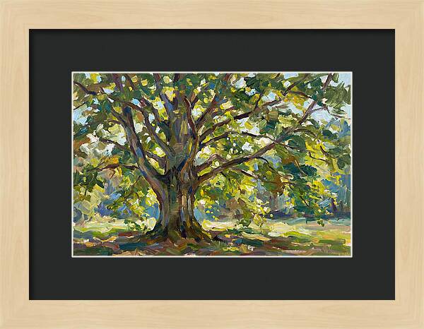 Beech Tree Serenity