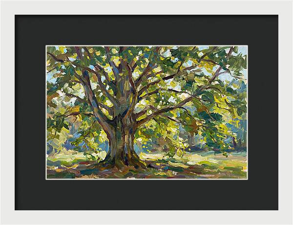 Beech Tree Serenity