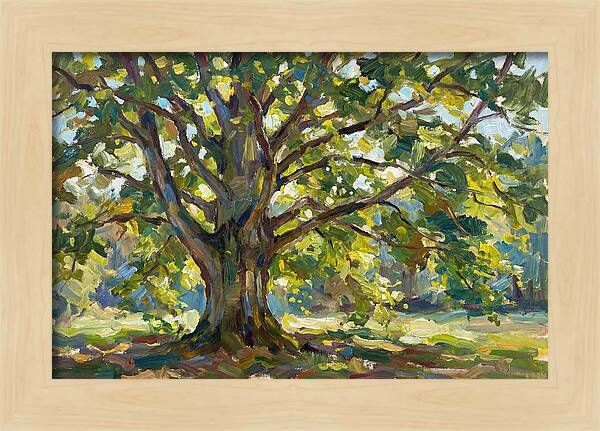 Beech Tree Serenity
