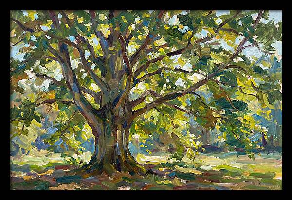 Beech Tree Serenity