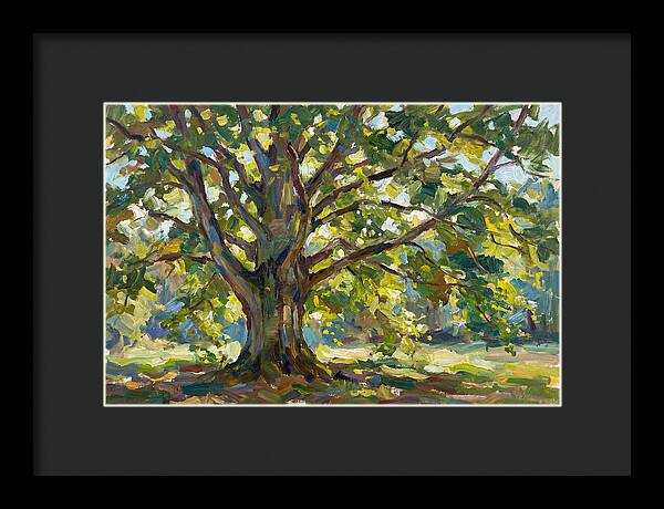 Beech Tree Serenity