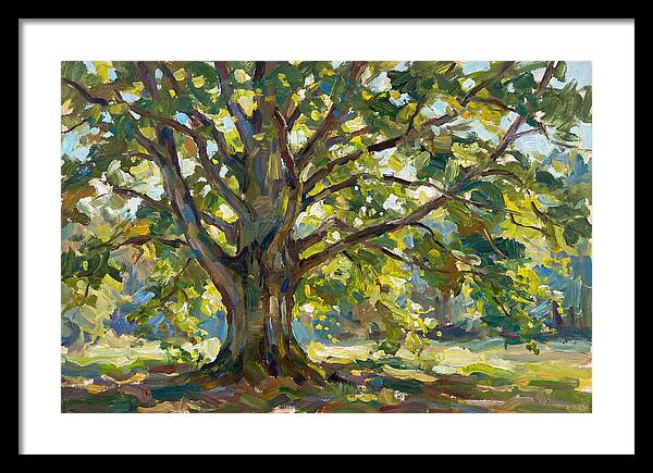 Beech Tree Serenity