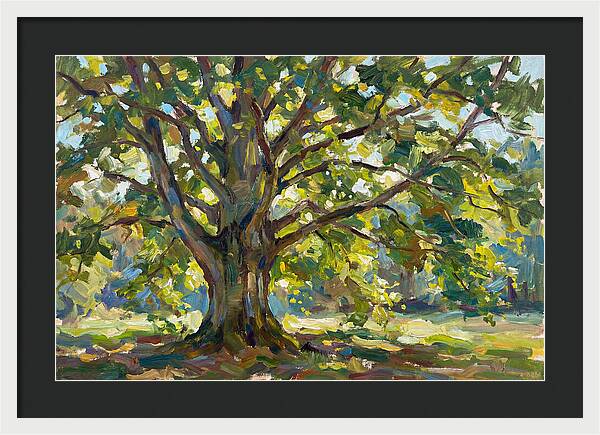 Beech Tree Serenity