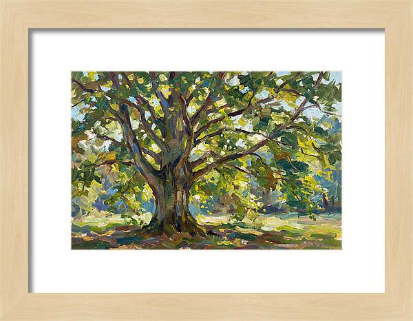 Beech Tree Serenity