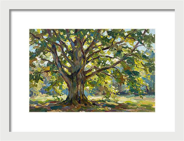 Beech Tree Serenity