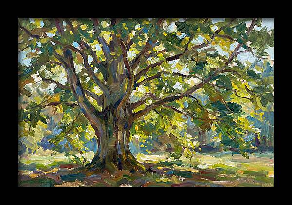 Beech Tree Serenity