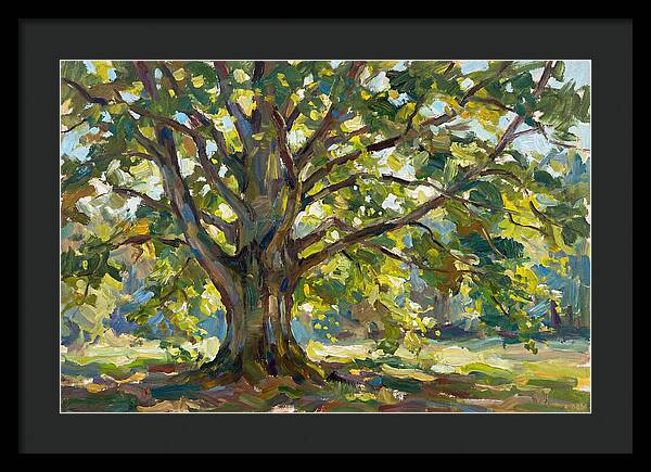 Beech Tree Serenity
