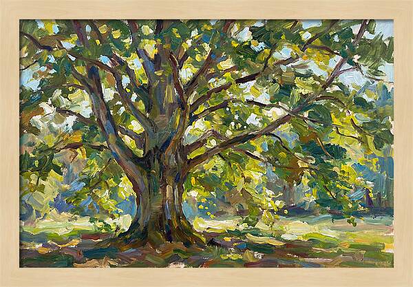 Beech Tree Serenity