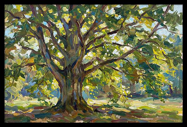 Beech Tree Serenity