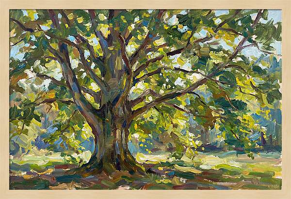 Beech Tree Serenity
