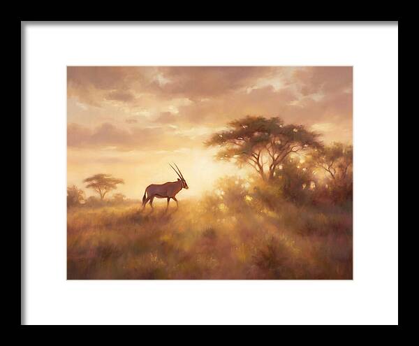 Beisa Oryx At Dawn