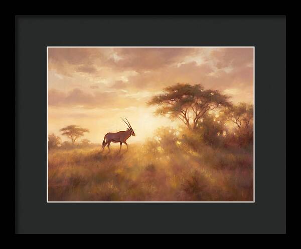 Beisa Oryx At Dawn