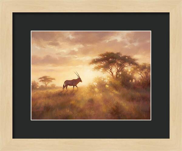 Beisa Oryx At Dawn