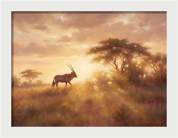 Beisa Oryx At Dawn