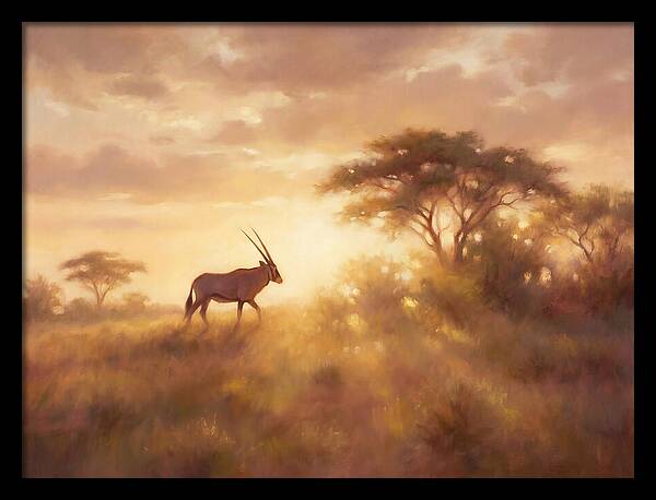 Beisa Oryx At Dawn