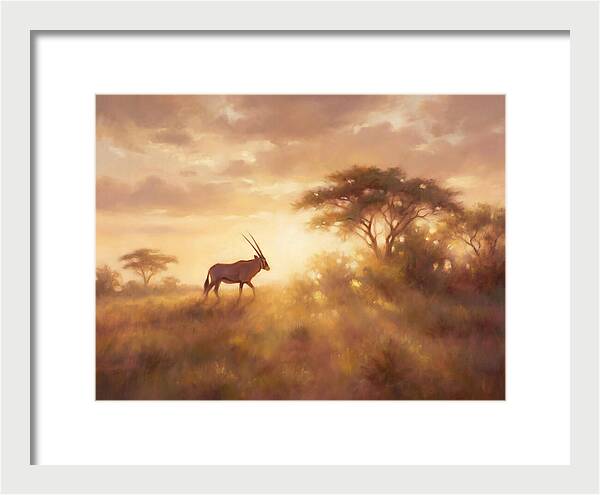 Beisa Oryx At Dawn