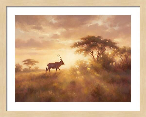 Beisa Oryx At Dawn