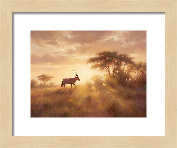 Beisa Oryx At Dawn